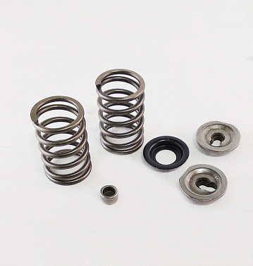 Пружины+тарелки клапанов (компл.) 177F