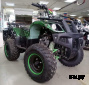 Квадроцикл ATV Avenger Evo