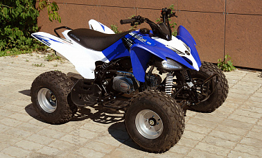 Квадроцикл MOTOLAND (МОТОЛЕНД) 150S