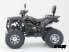 Квадроцикл Nishman 250 PRO L