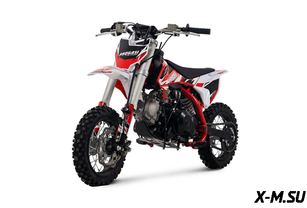 Питбайк Progasi KIDS POWER 110 (10/12)