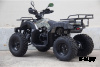 Квадроцикл UNIVERSAL Avenger JR 200