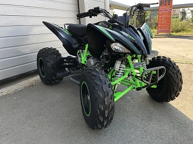 Квадроцикл PROMAX RAPTOR 320 Monster