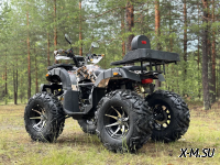 Квадроцикл PROMAX 320 DOMINATOR PRO (2025)