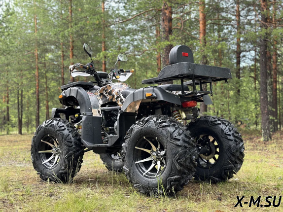 Квадроцикл PROMAX 320 DOMINATOR PRO (2025)