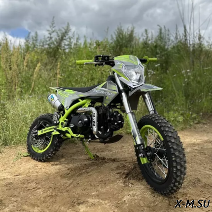 Питбайк MOTORHEAD A110FA