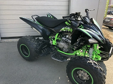 Квадроцикл PROMAX RAPTOR 320 Monster