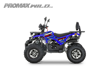 Квадроцикл PROMAX WILD 2.0 190 PRO (2025)