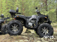 Квадроцикл PROMAX 320 DOMINATOR (2025)