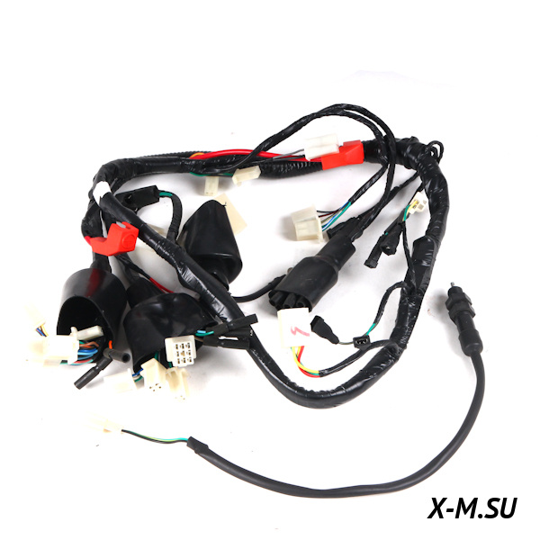 Жгут проводов INTRUDER