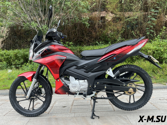 Мопед PROMAX STREET CROSS MAX 150 (49)